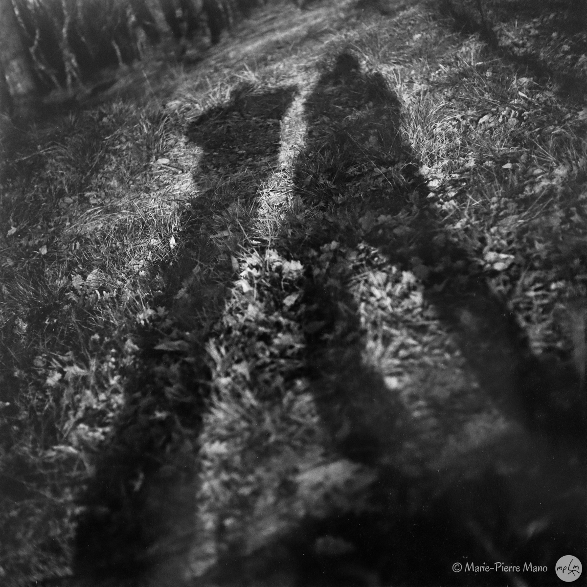 Ombre I - Série Ombres