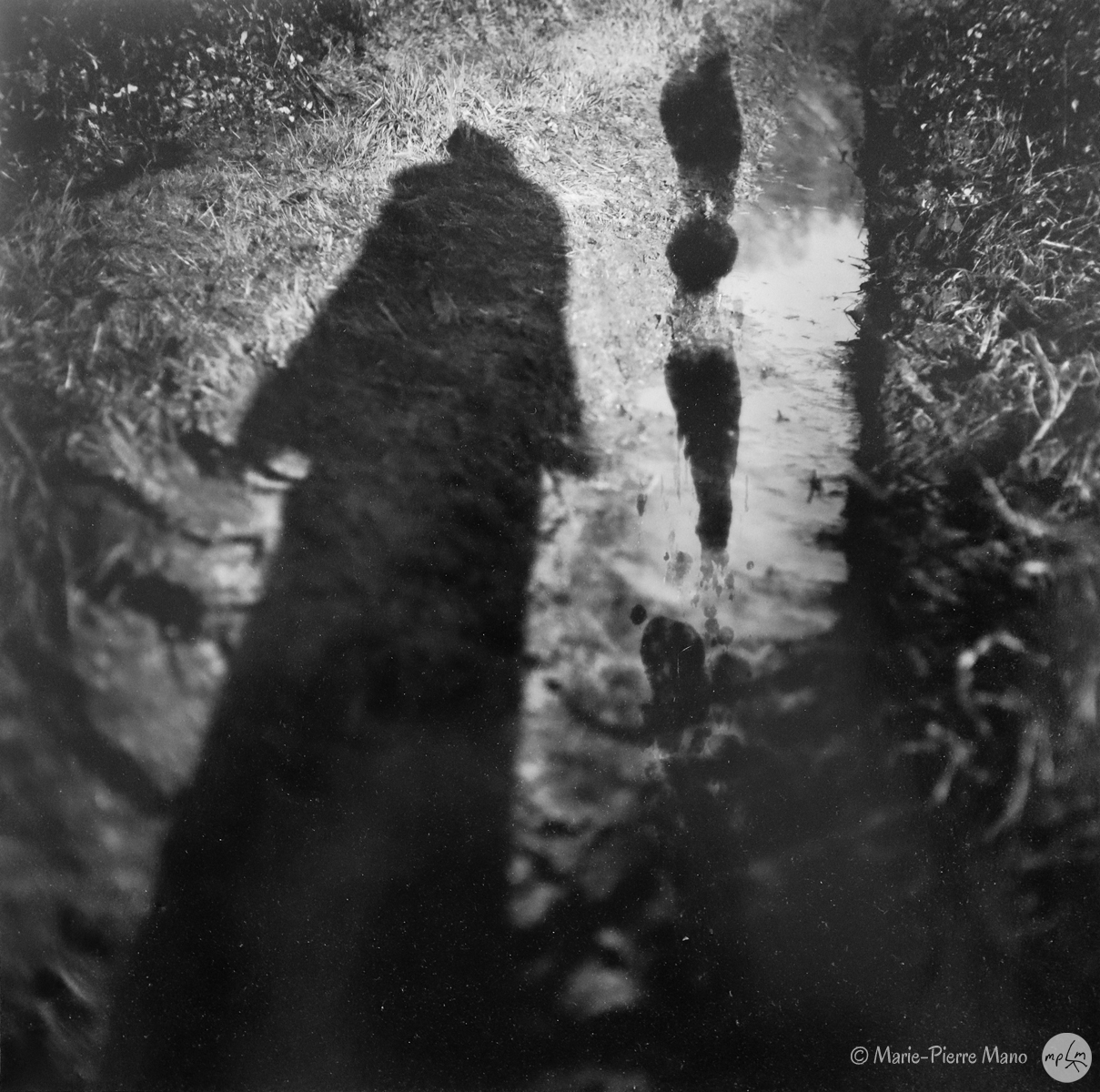 Ombre VI - Série Ombres