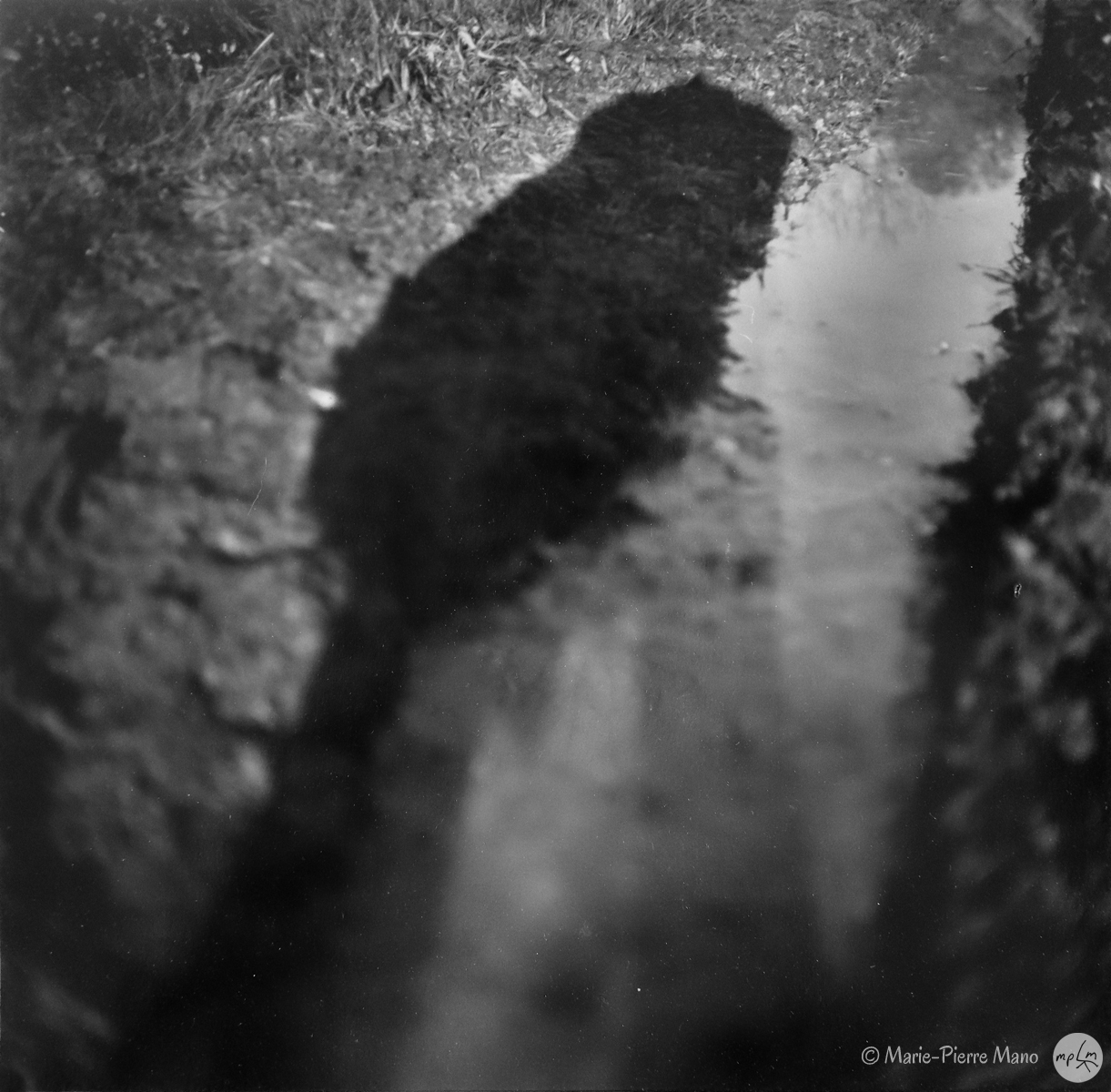 Ombre VIII - Série Ombres